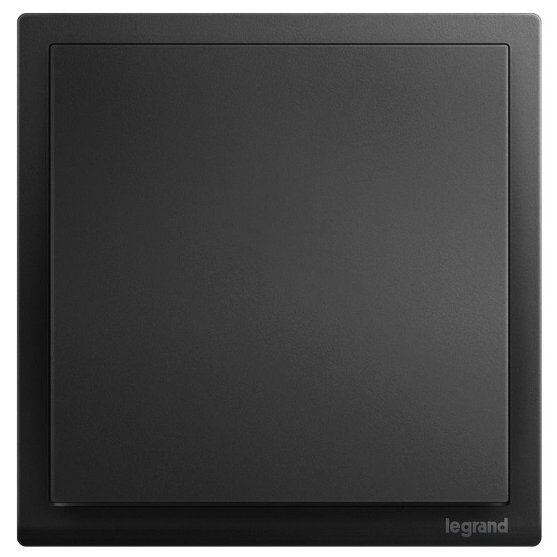 朗淳 朗淳 朗淳碳素黑/一开双极20A  ERQ31D20A-C ERQ31D20A-C