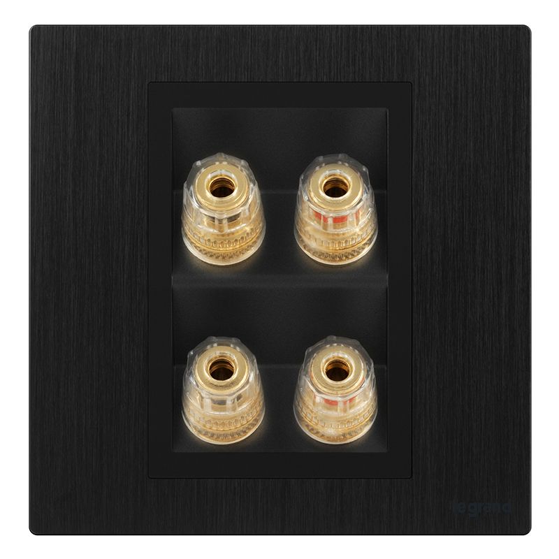 F9逸景金属款 F9逸景金属款 F9拉丝黑/二位音箱插 86型 F9/M8/2-J2 86型 F9/M8/2-J2