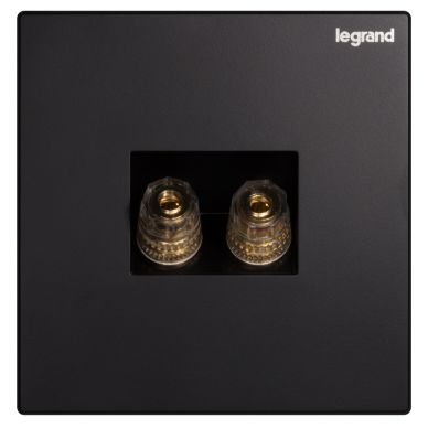 K8逸景 K8逸景 K8黑色/一位音箱插（2头） 86型 K8/M8-C 86型 K8/M8-C