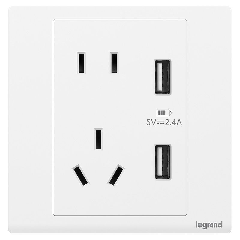 朗淳 朗淳 朗淳玉兰白/五孔双USB插-新国标 86型 EQ426/10US/U2S 86型 EQ426/10US/U2S