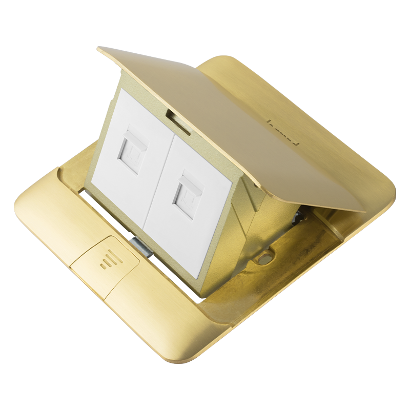 罗格朗普通地插 罗格朗普通地插 新-罗格朗缓冲地插（铜）二位电脑（六类） 650516D  650516D 650516D