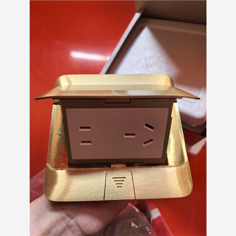 罗格朗普通地插 罗格朗普通地插 新-快弹式地插（铜）五孔  630512E  630512E 630512E