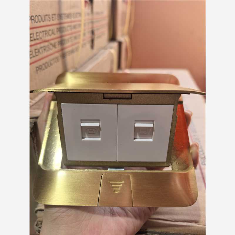 罗格朗普通地插 罗格朗普通地插 新-快弹式地插（铜）电话电脑（六类）630514E  630514E 630514E