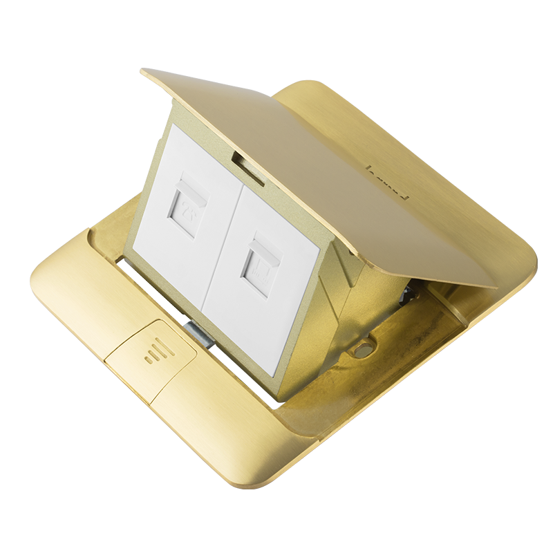 罗格朗普通地插 罗格朗普通地插 新-罗格朗缓冲地插（铜）电话+六类电脑  650514D  650514D 650514D